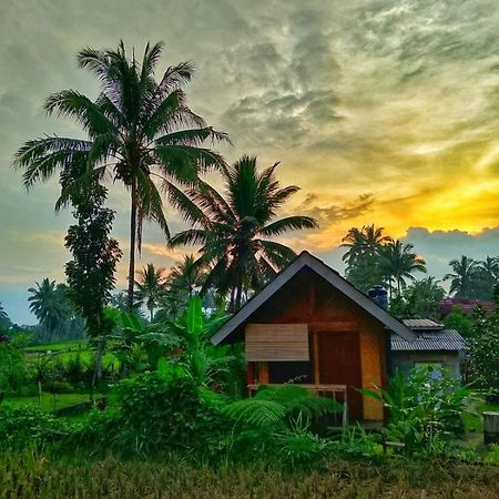 Citra Homestay Tetebatu Zewnętrze zdjęcie
