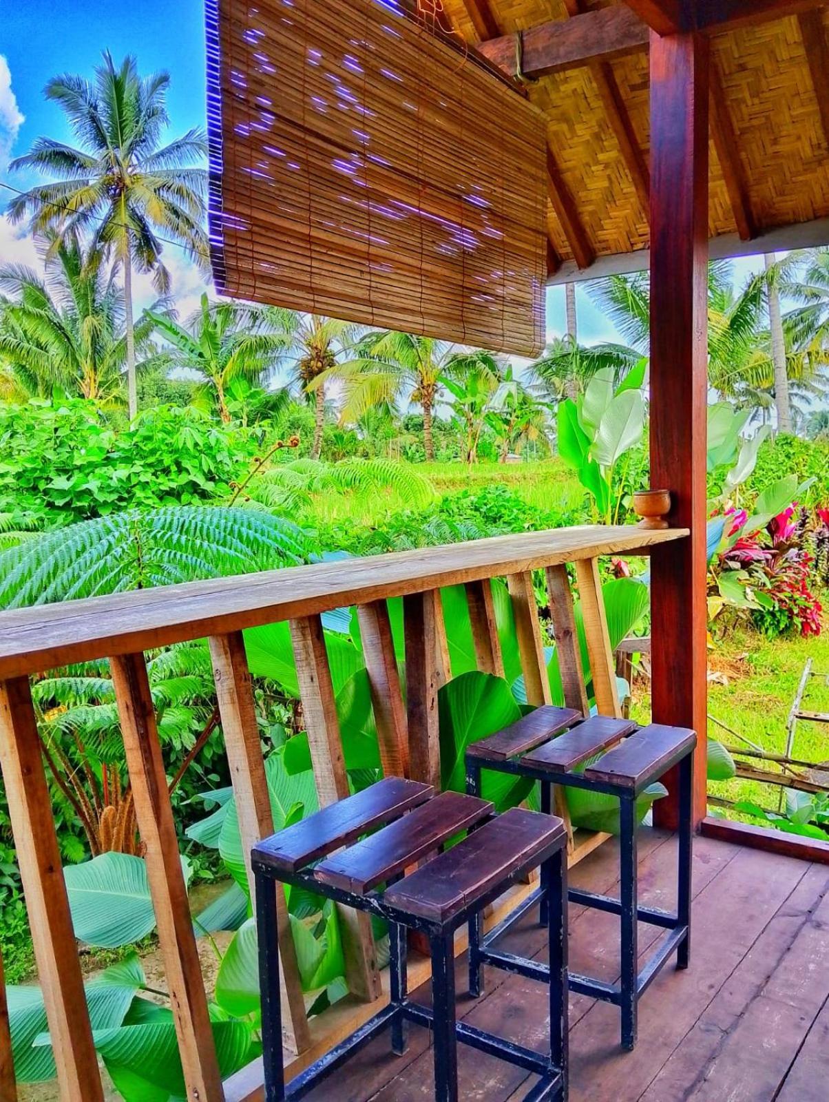 Citra Homestay Tetebatu Zewnętrze zdjęcie