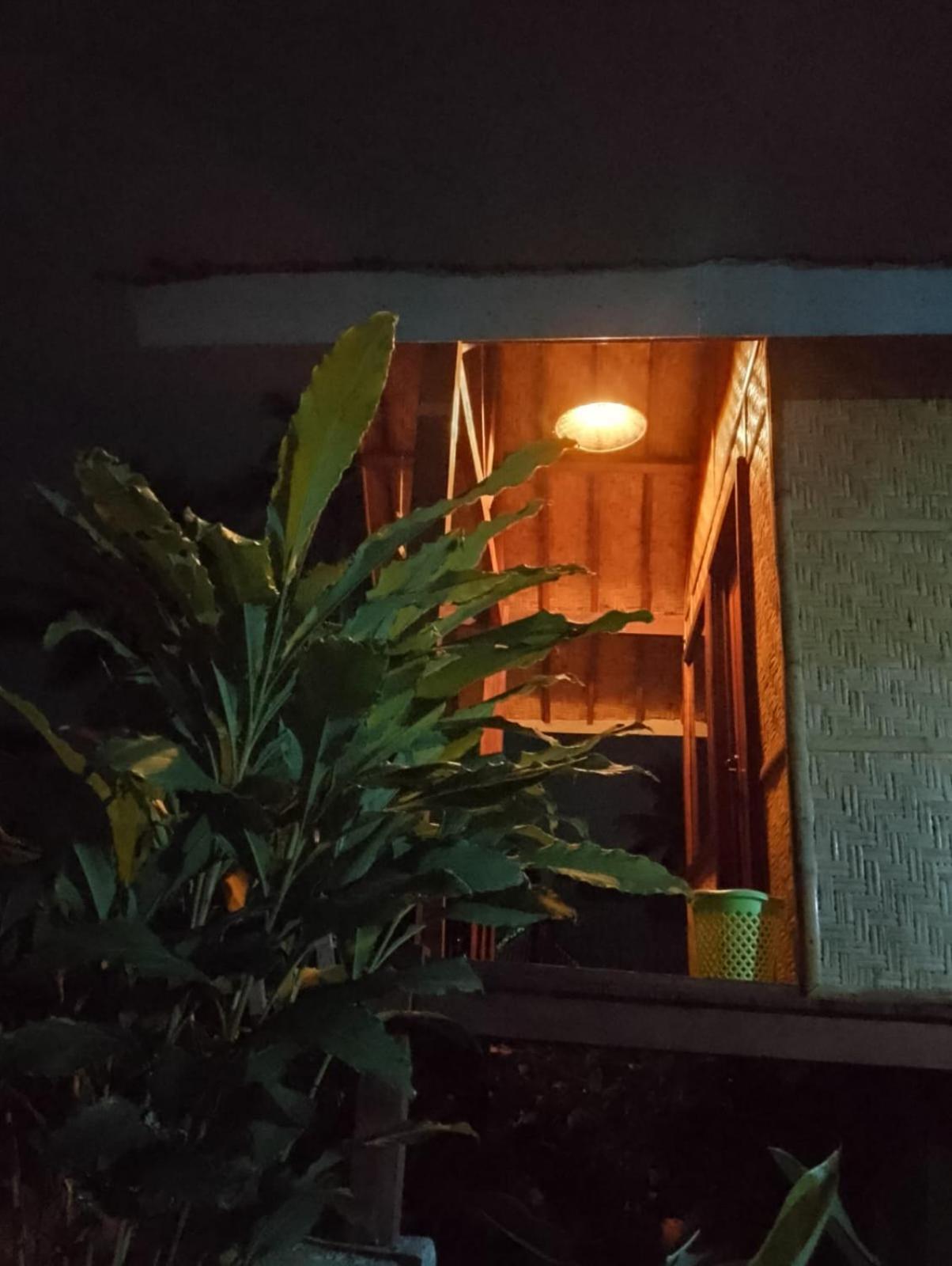 Citra Homestay Tetebatu Zewnętrze zdjęcie